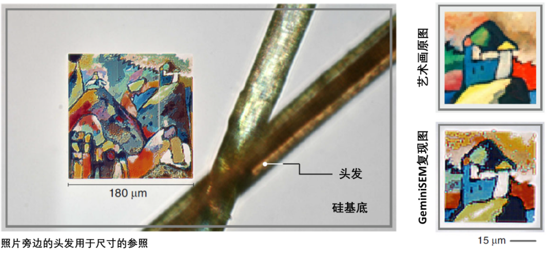 蓟州蔡司蓟州扫描电镜